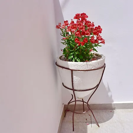 Apartamento Mariza 1920 *