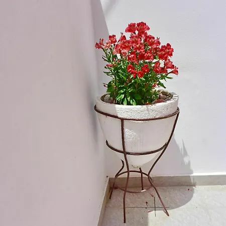 Apartment Mariza 1920 *