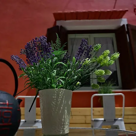 Apartment Mariza 1920 *