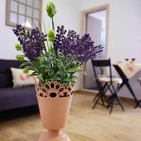 Mariza 1920 Apartment