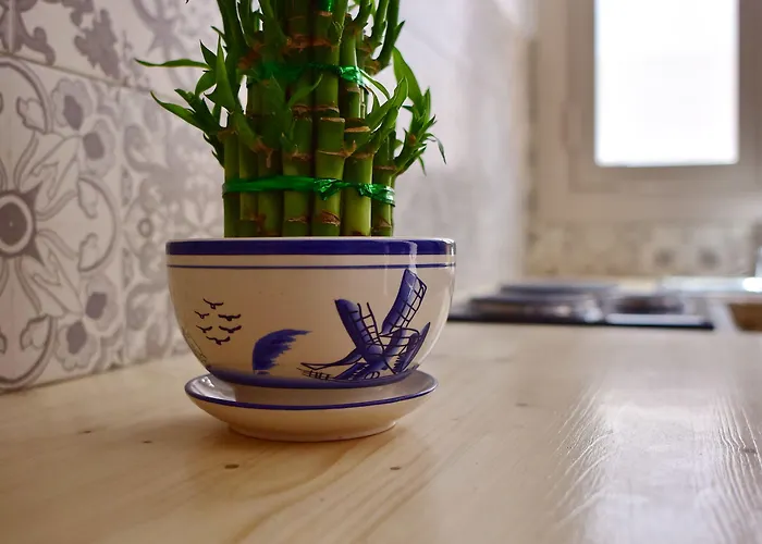 Mariza 1920 Apartment